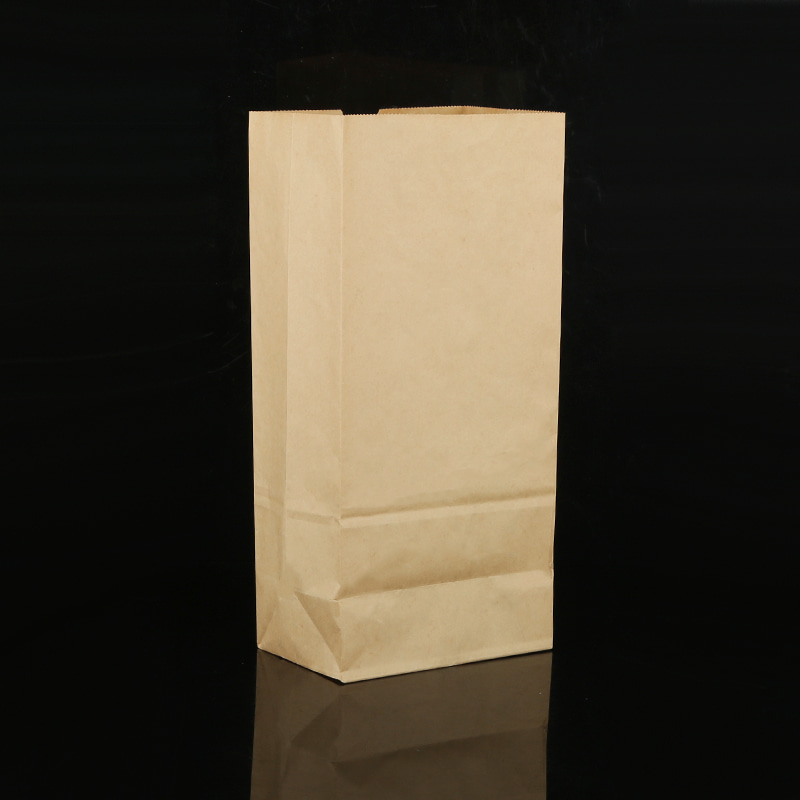 Coating or Lamination of Kraft paper bags